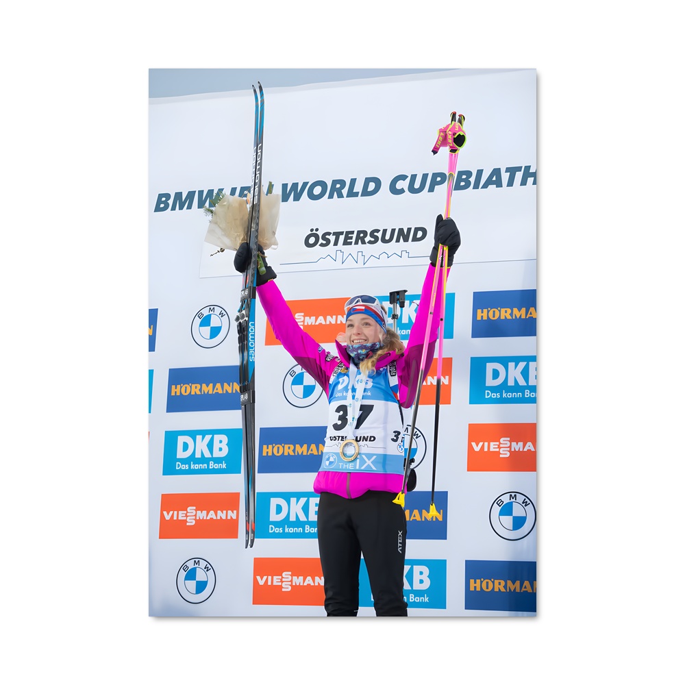 Poster Ski et Détermination